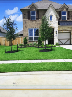 Mick's-Grass-Sod-&-Landscape-Service--Sod-Farm-20