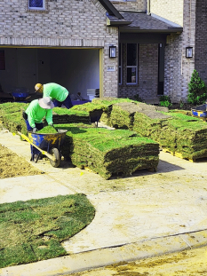 Mick's-Grass-Sod-&-Landscape-Service--Sod-Farm-15