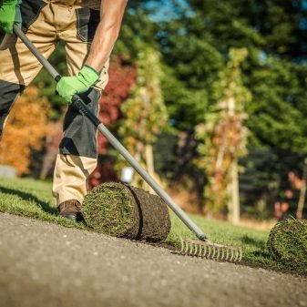 Gardening Company Worker Installing Fresh Natural Grass Turfs From Roll In Residential Garden. Landscaping Theme.