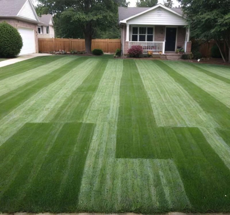 home-with-lawn-that-has-large-number-it